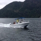 22' Campion Fuel Polishing Boat