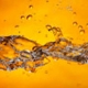 amber fuel